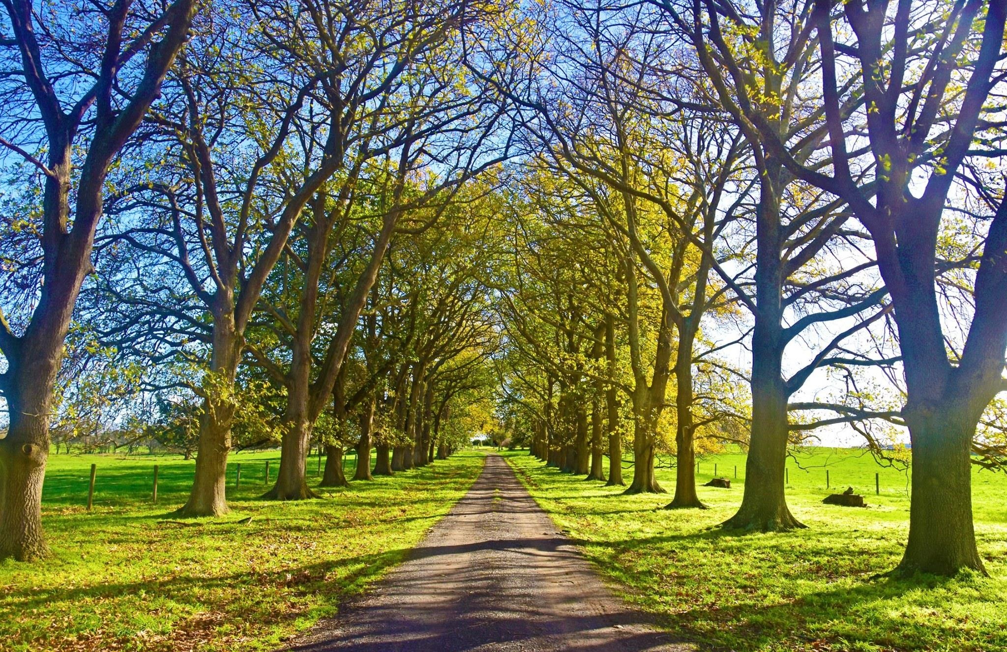 Canh sac an yen tua thien duong o ngoai o Australia hinh anh