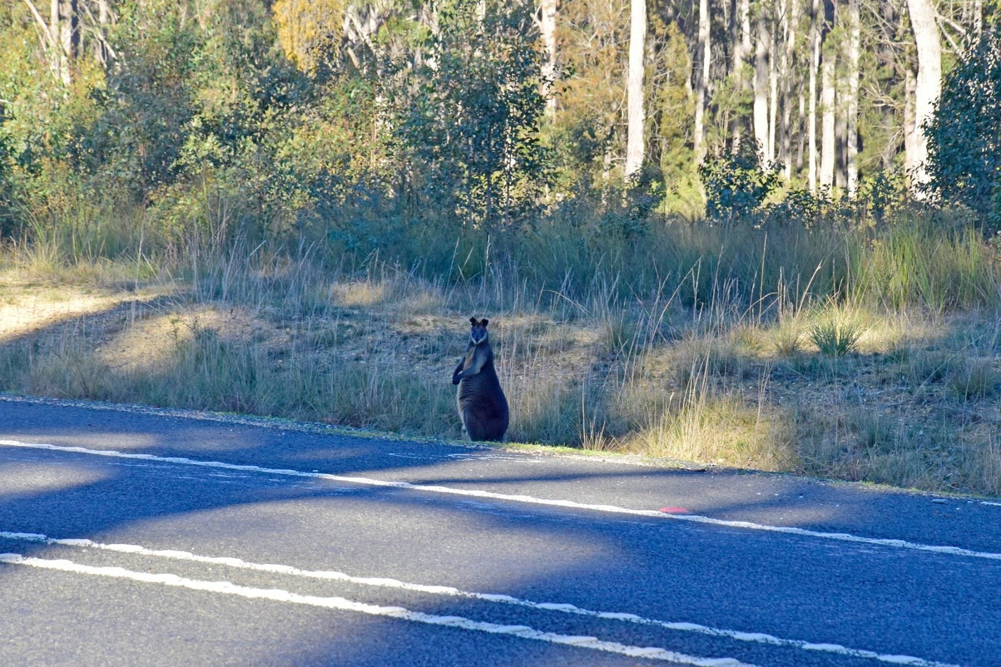 Du lich Australia anh 9