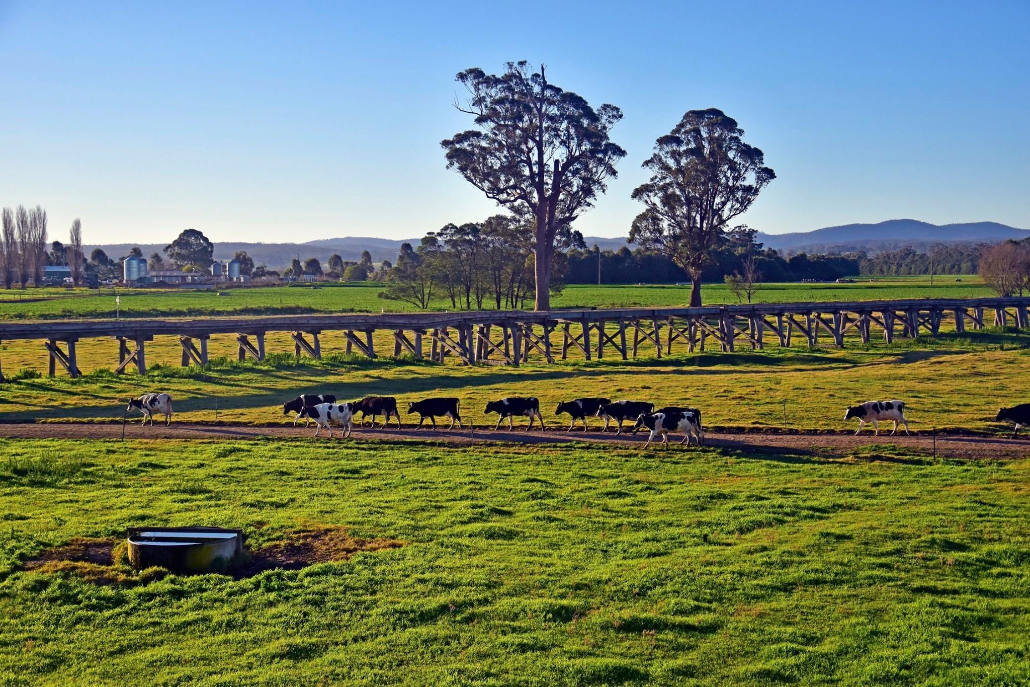 Du lich Australia anh 20