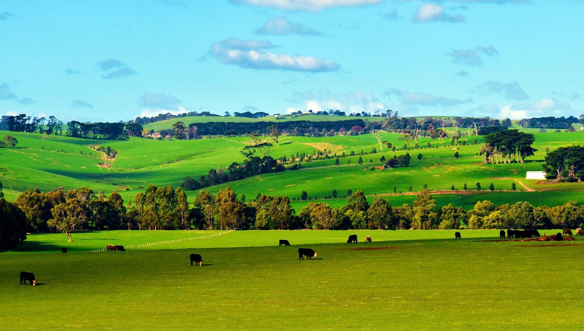 Du lich Australia anh 1