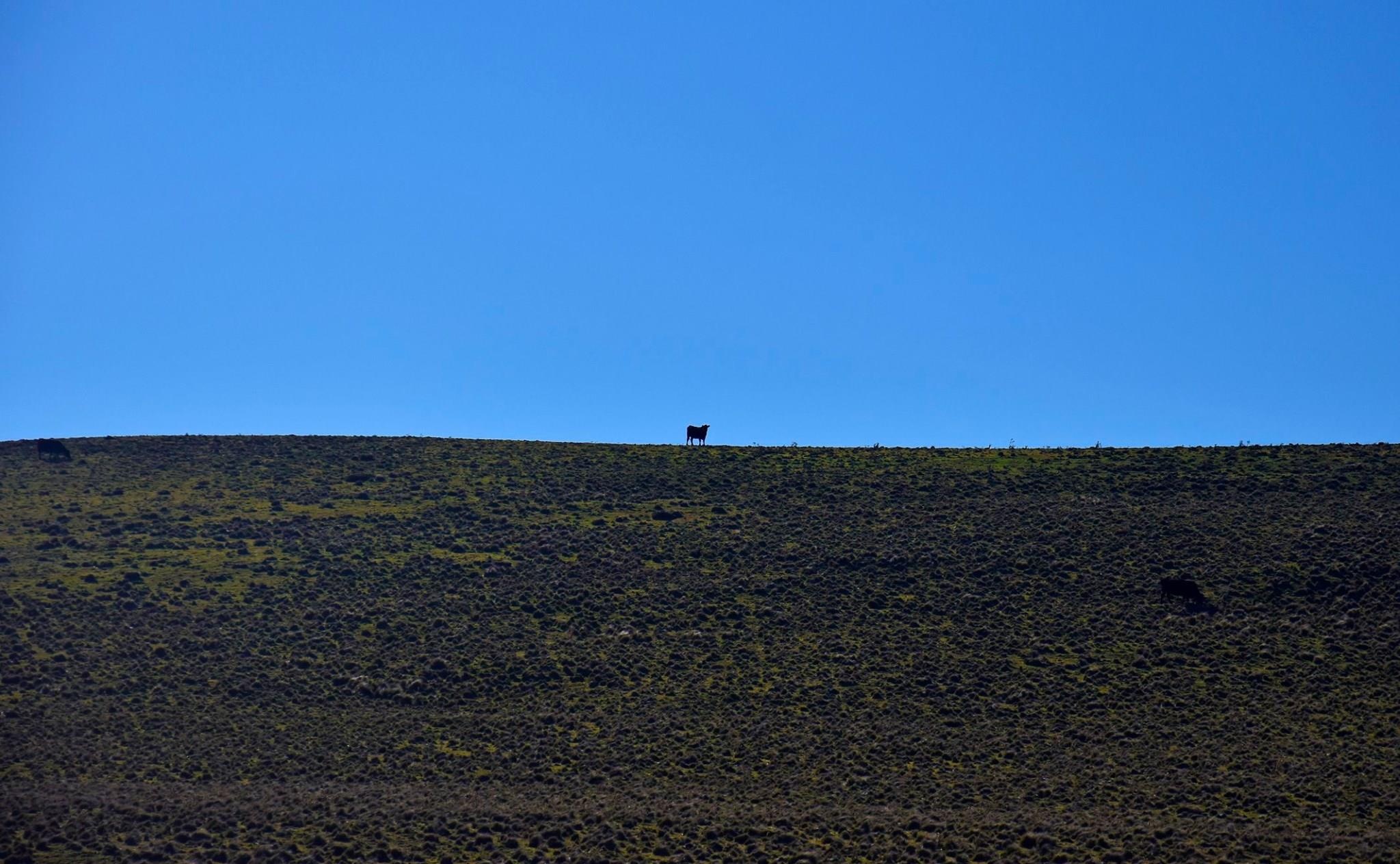 Du lich Australia anh 22