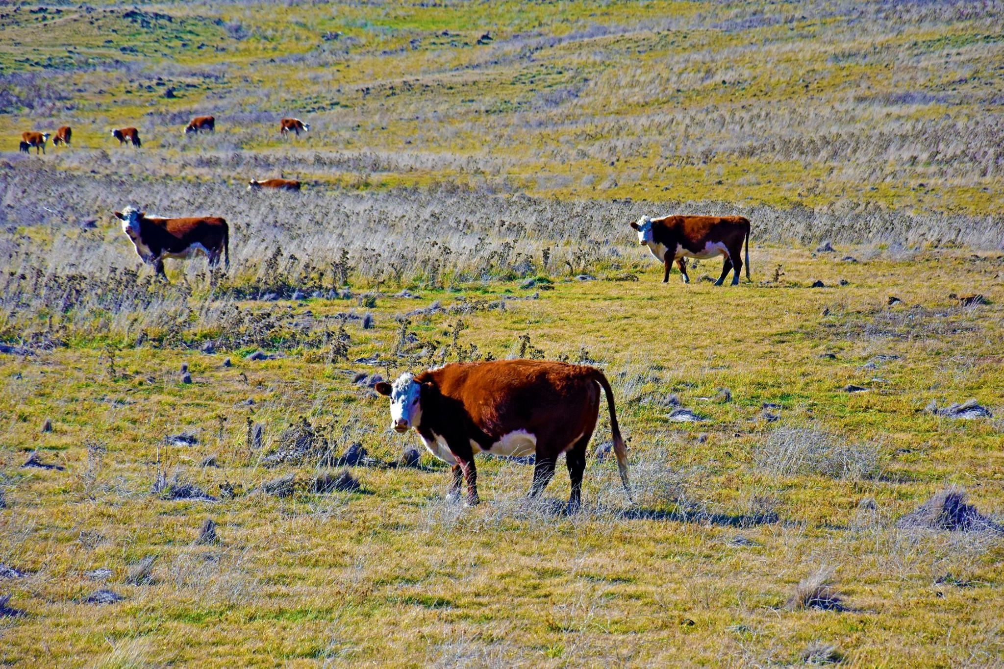 Du lich Australia anh 19