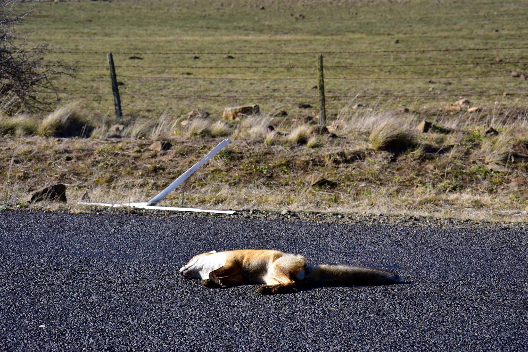 Du lich Australia anh 11