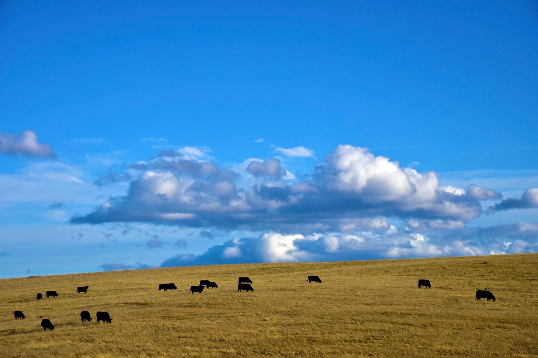 Du lich Australia anh 24