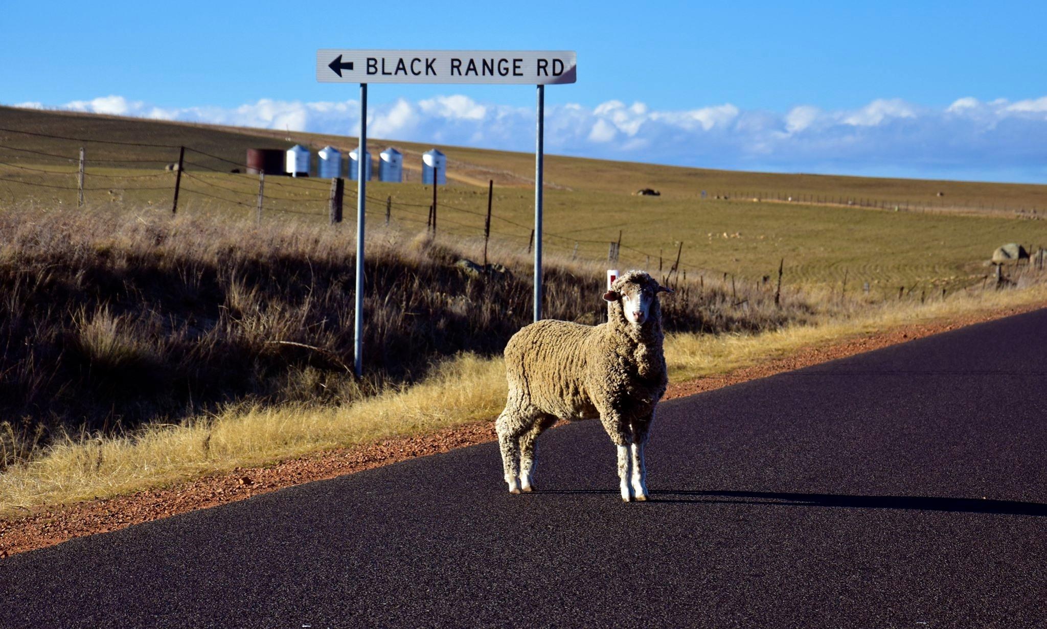 Du lich Australia anh 12