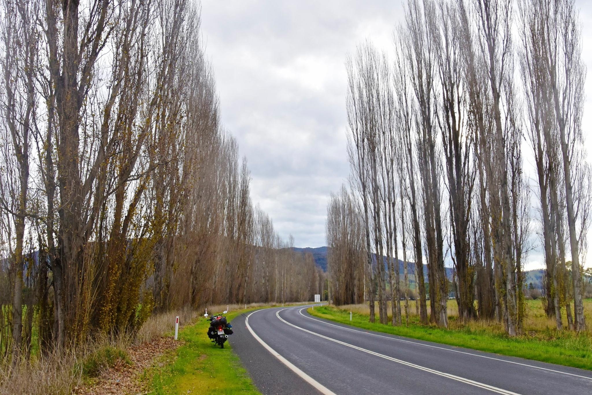 Du lich Australia anh 14