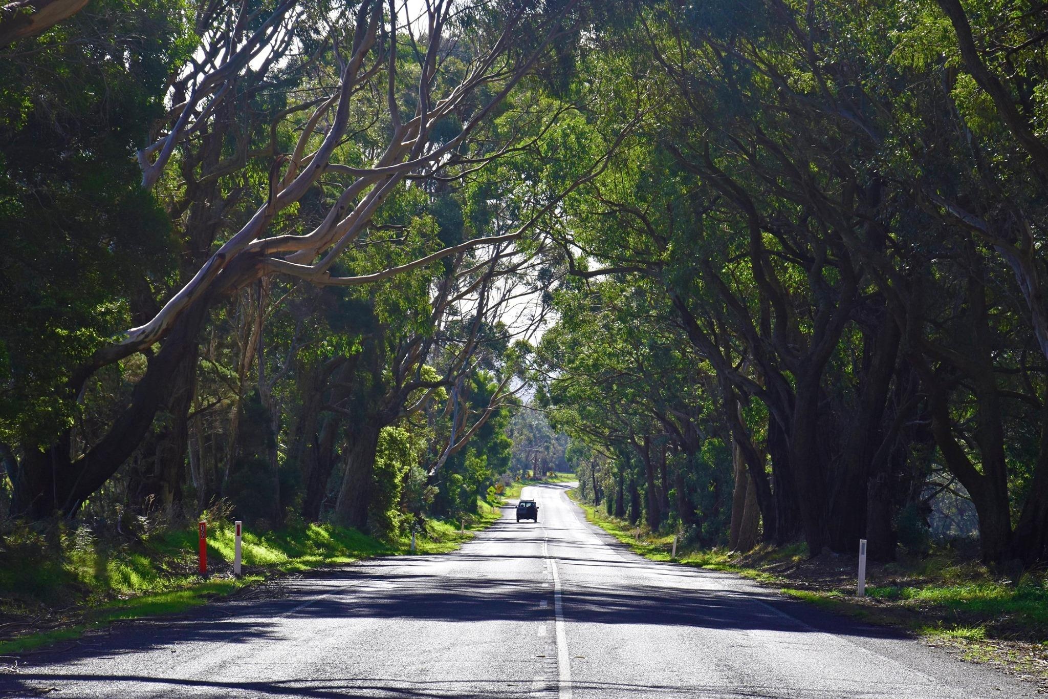 Du lich Australia anh 4