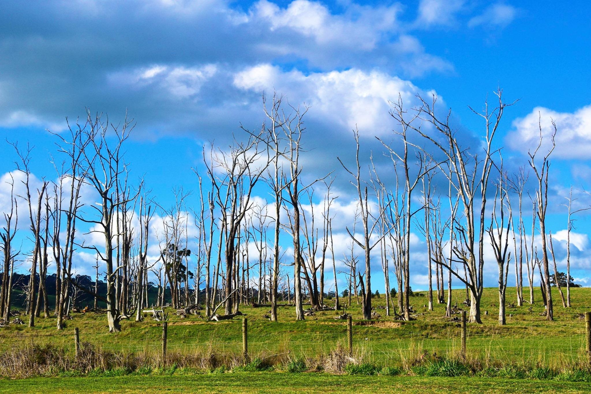 Du lich Australia anh 17