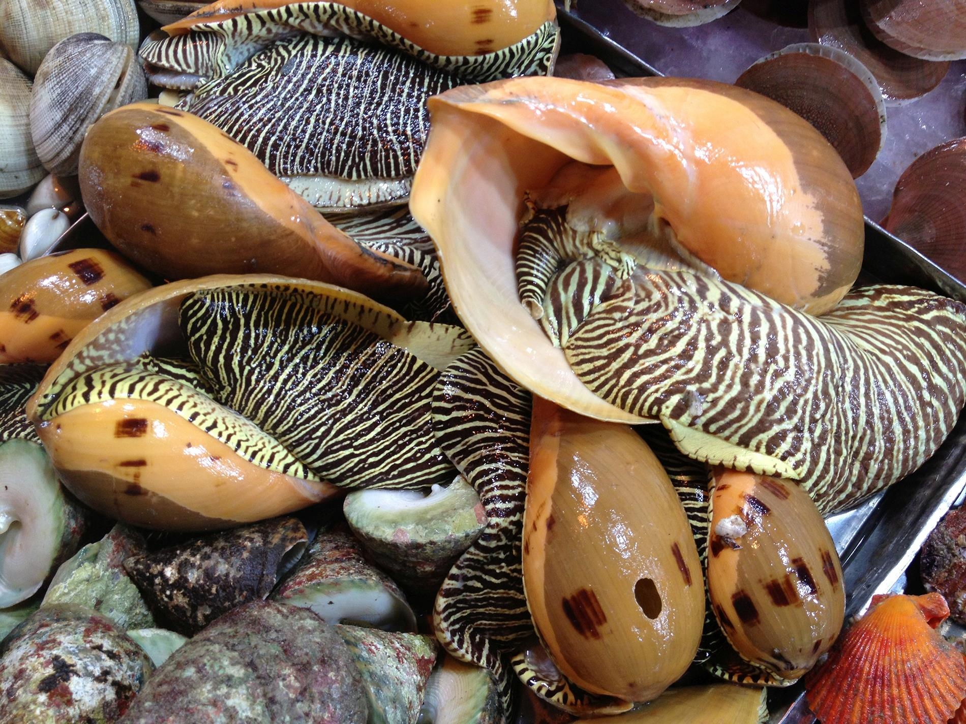 An gi o Mui Ne anh 4