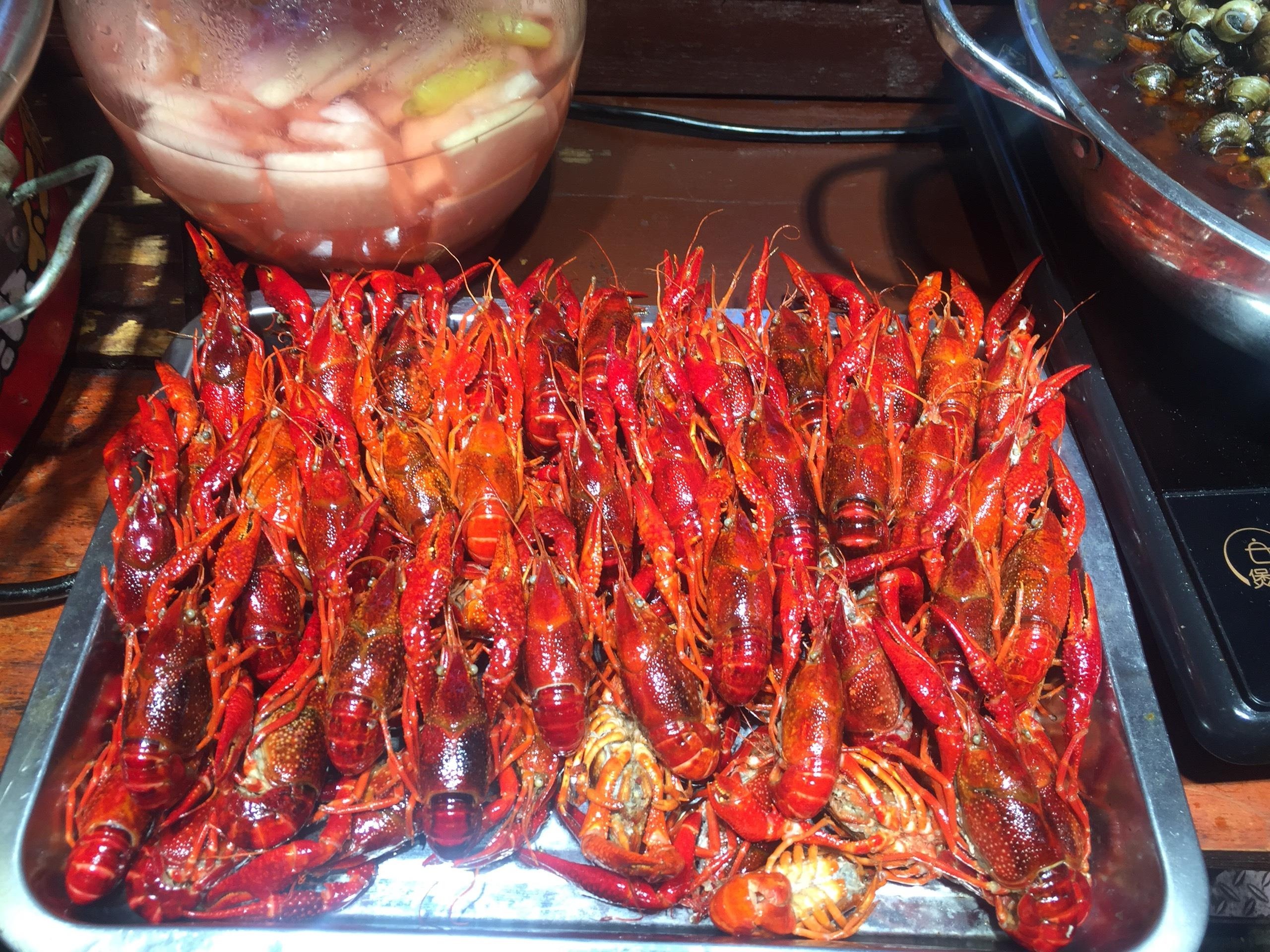 An gi o Phuong Hoang co tran anh 3