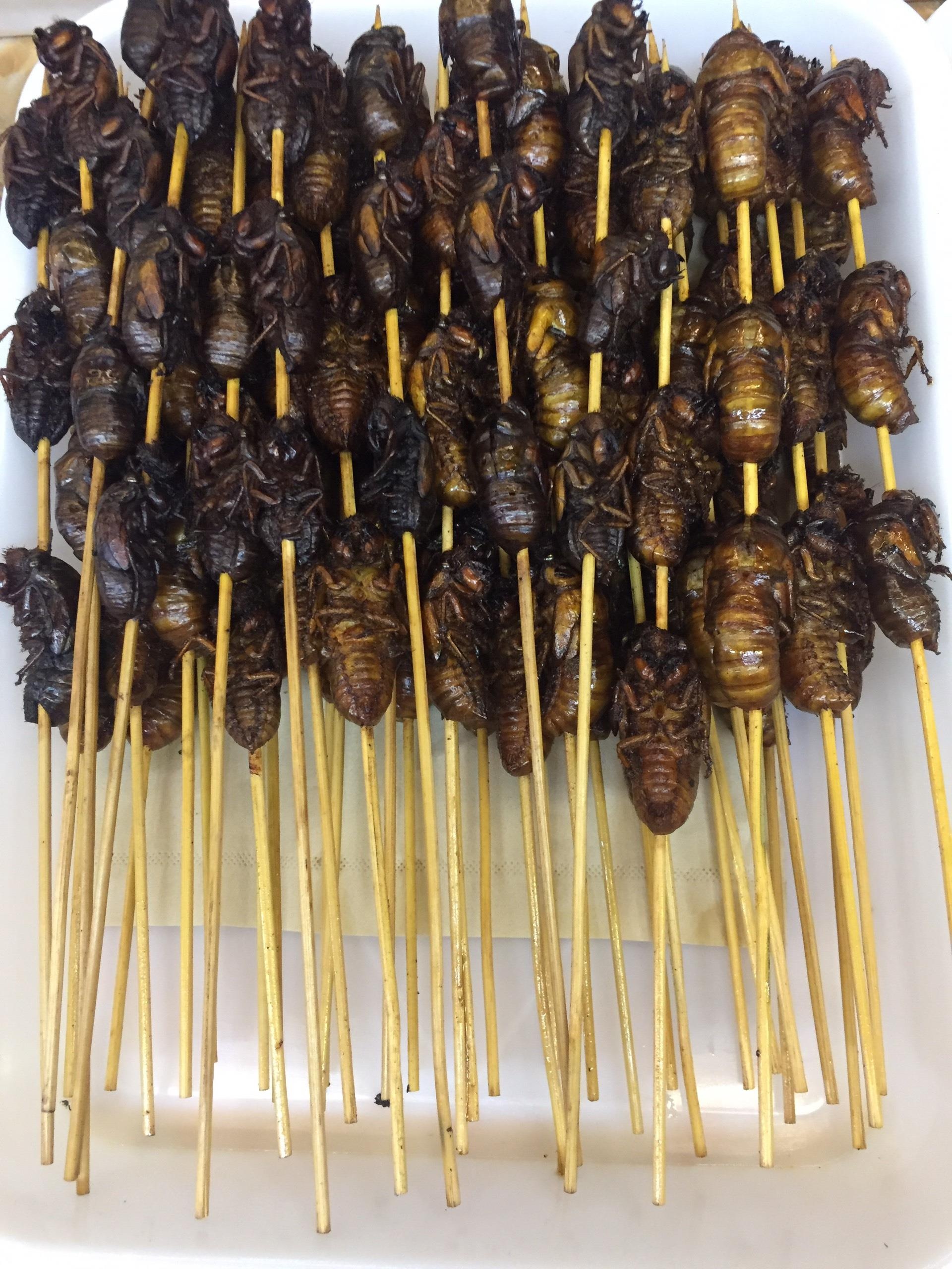 An gi o Phuong Hoang co tran anh 9