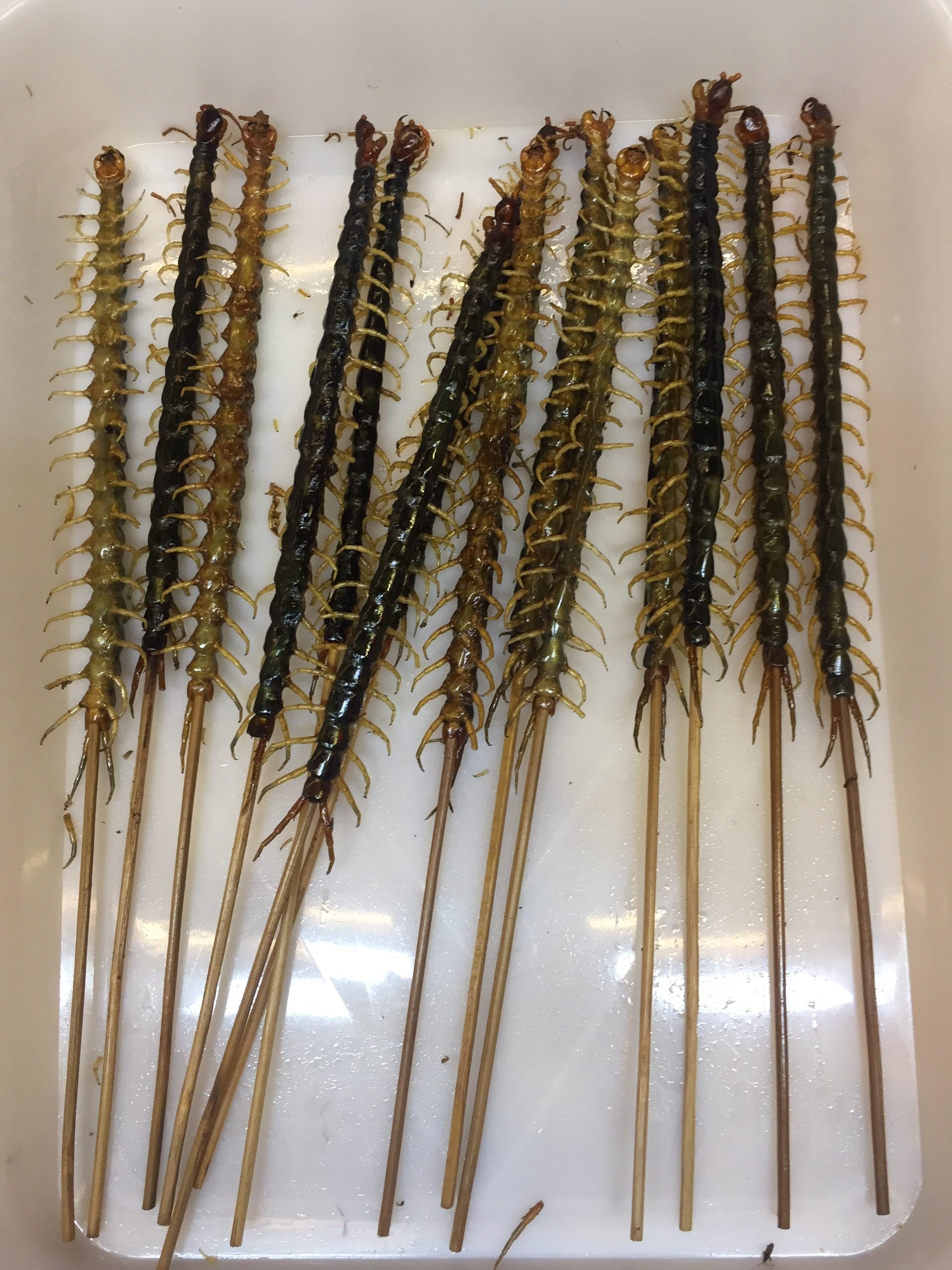 An gi o Phuong Hoang co tran anh 10