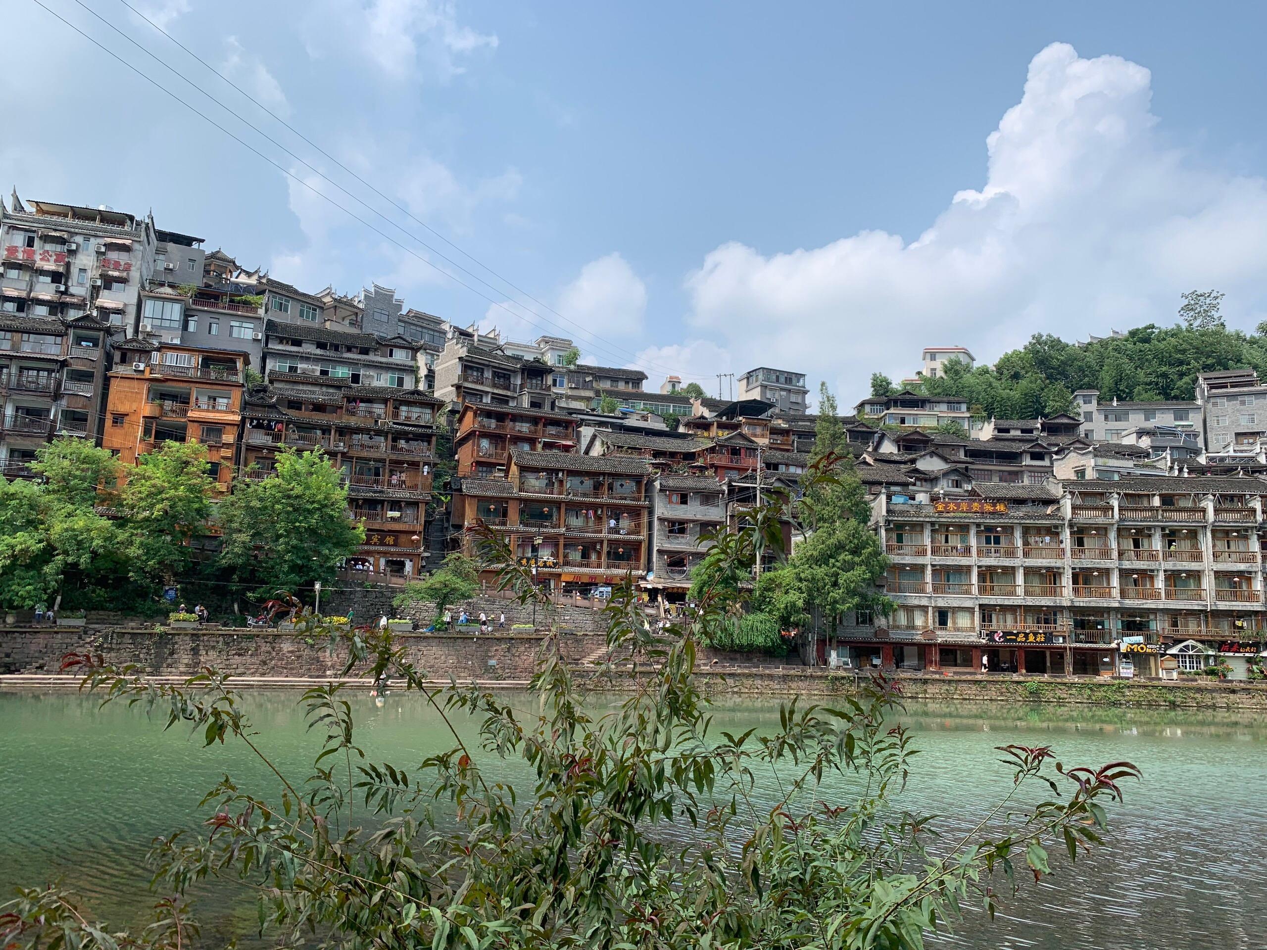 Phuong Hoang co tran anh 8