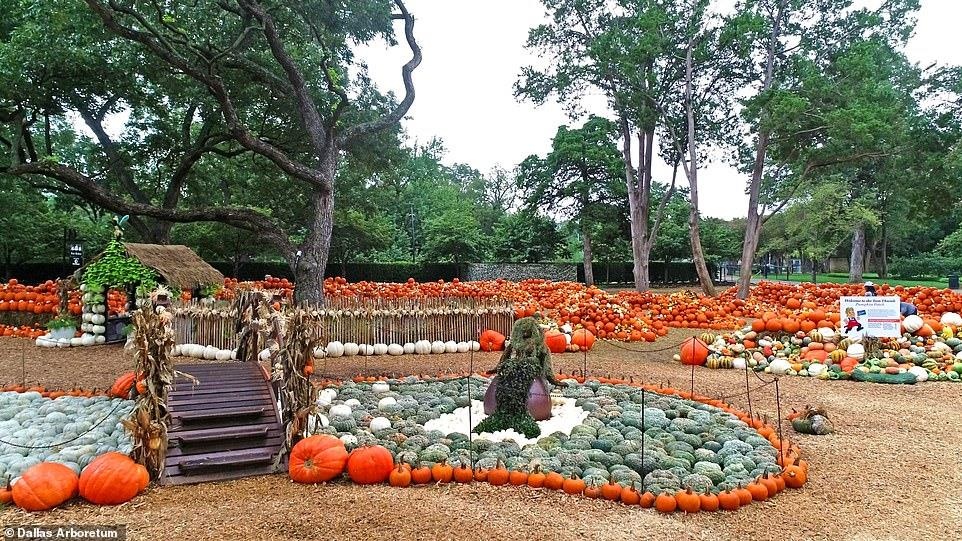 Du lich My,  lang bi ngo,  dia diem du lich anh 7