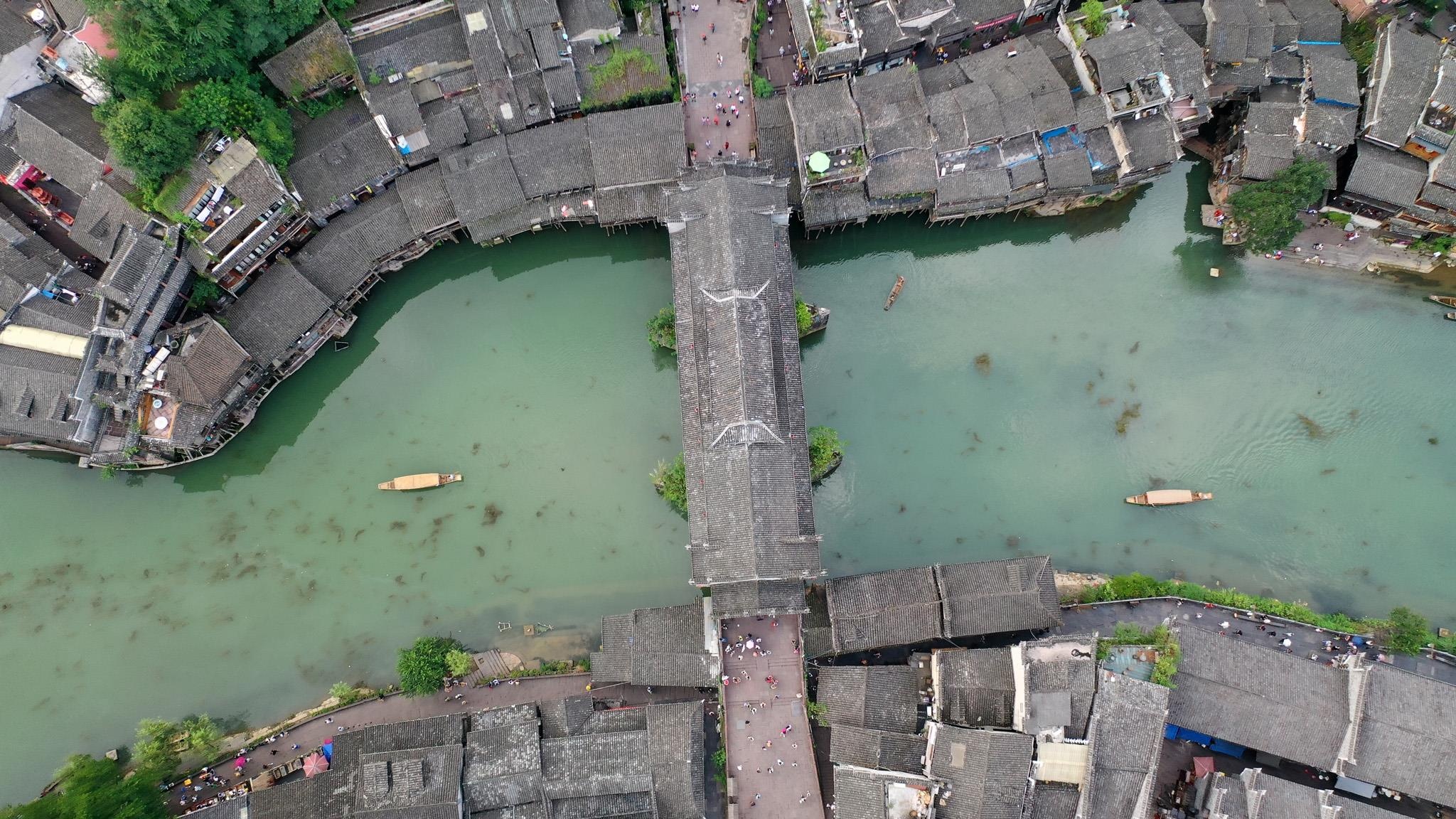 Phuong Hoang co tran anh 4