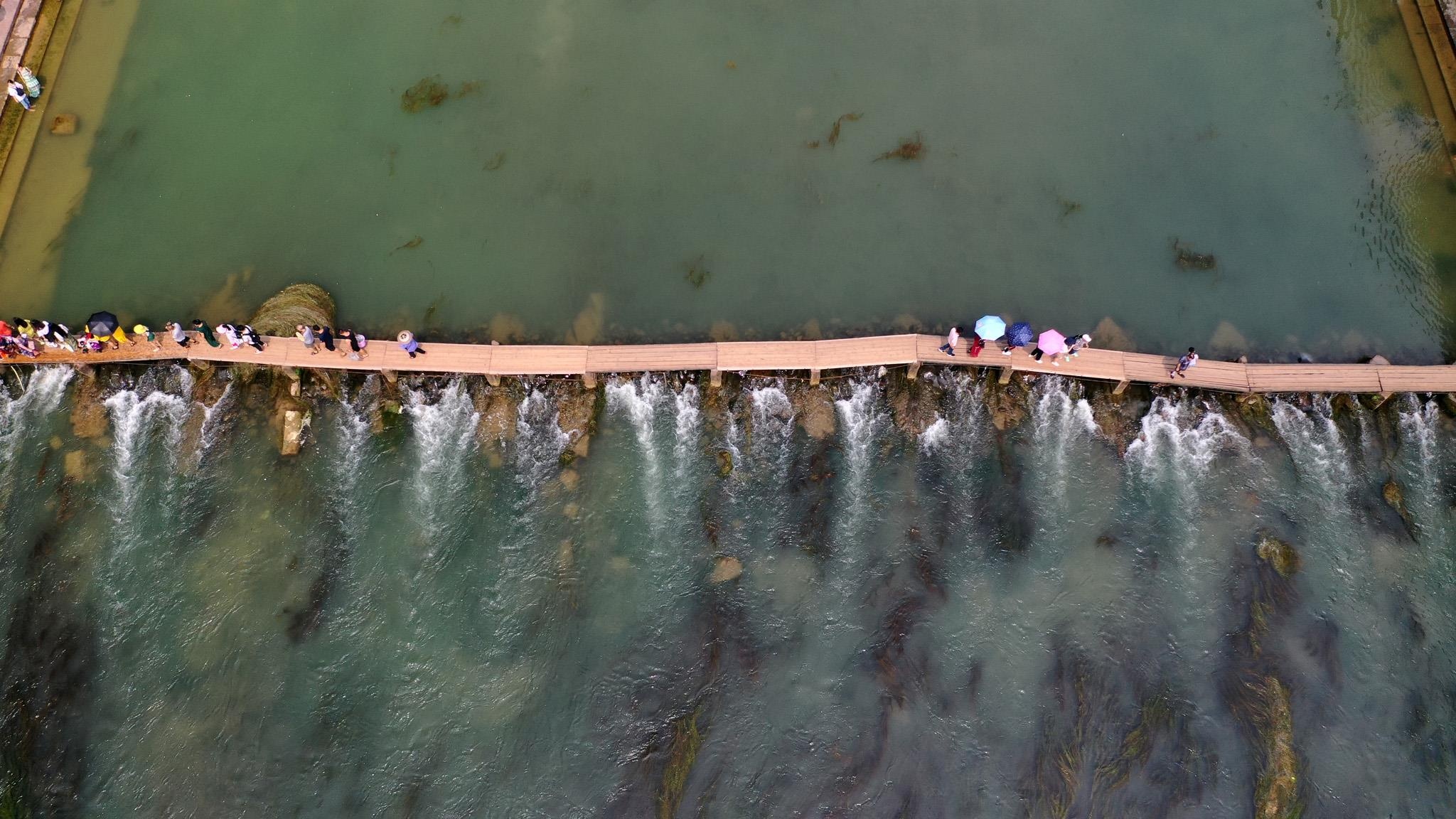 Phuong Hoang co tran anh 7