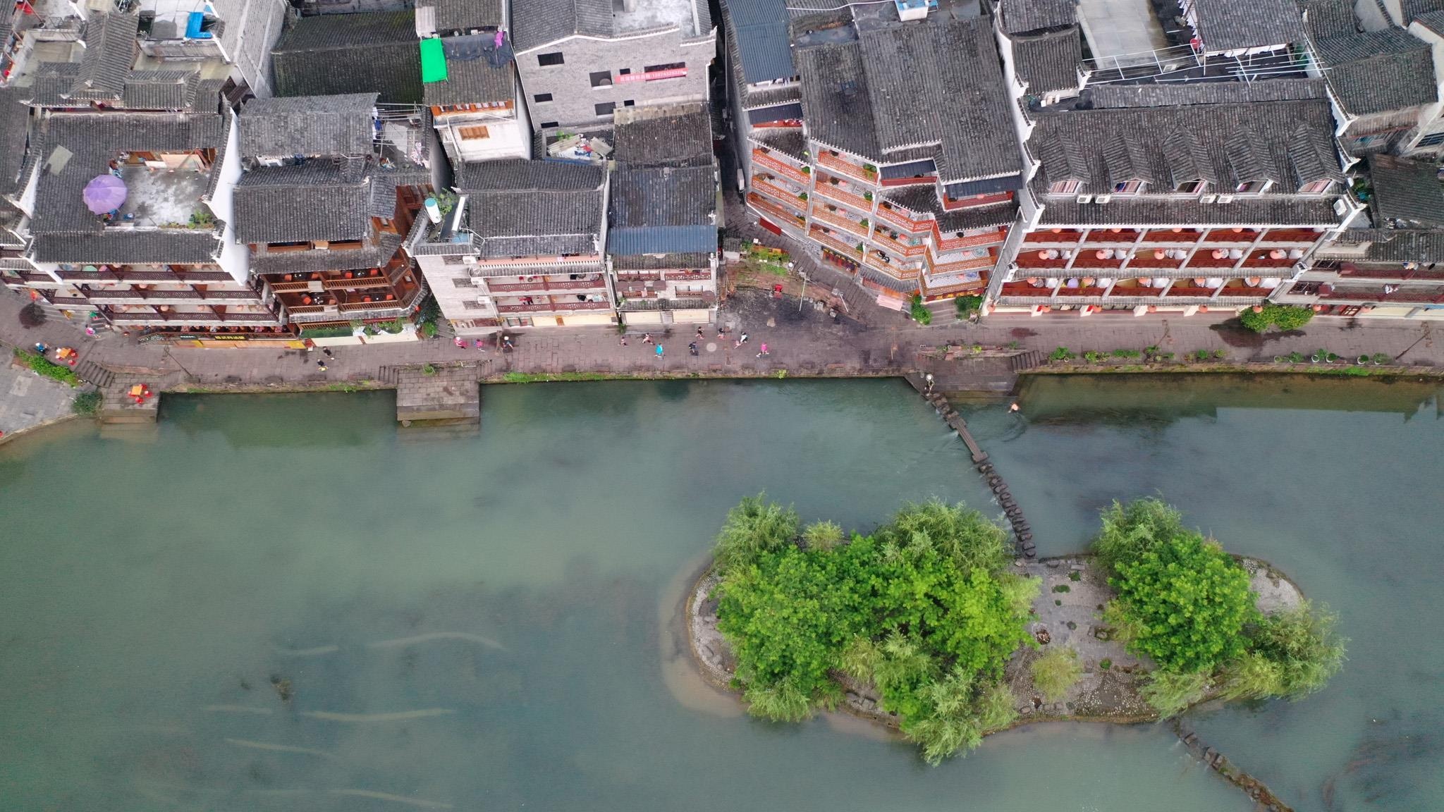 Phuong Hoang co tran anh 6