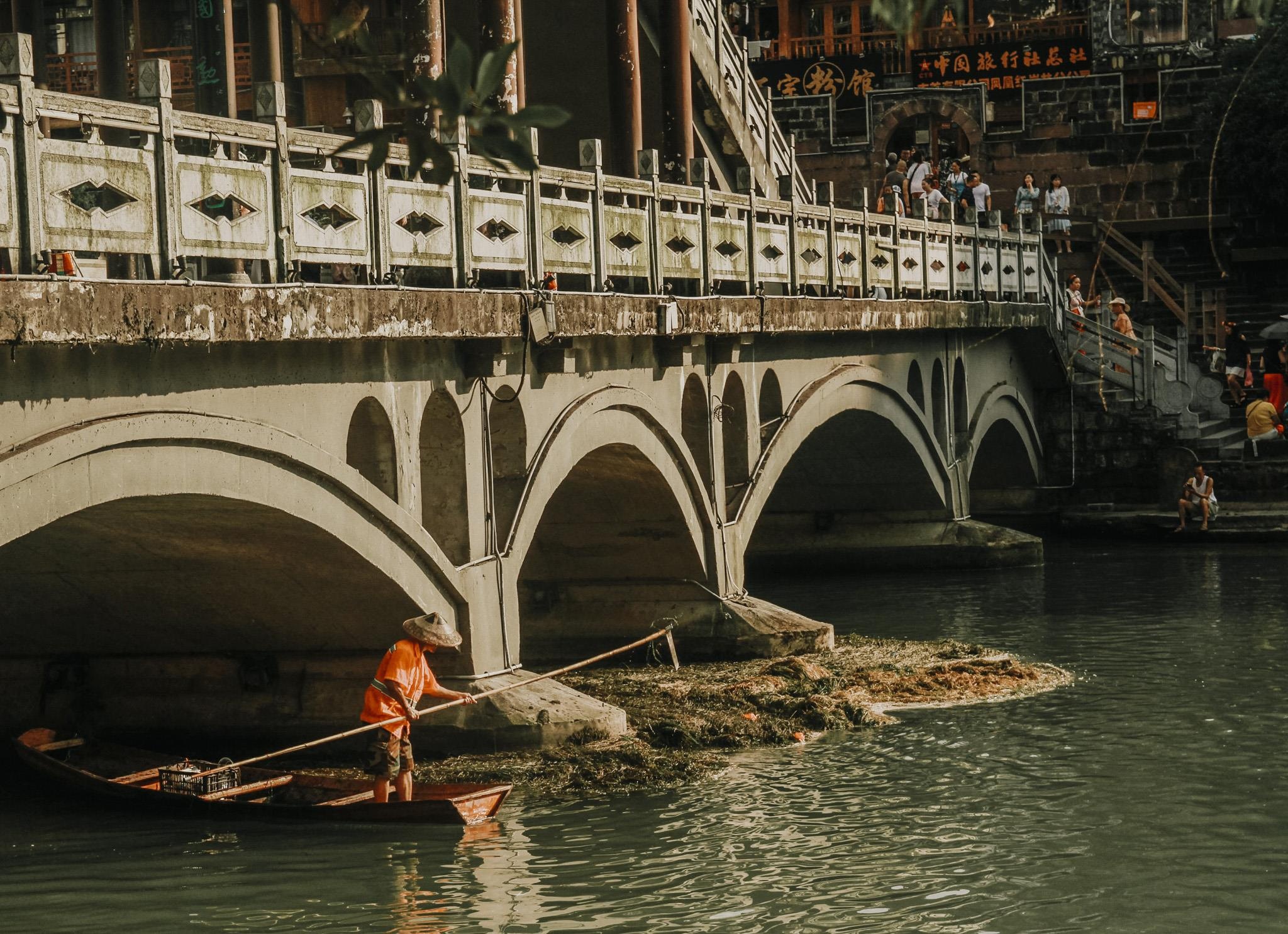 Phuong Hoang co tran anh 12