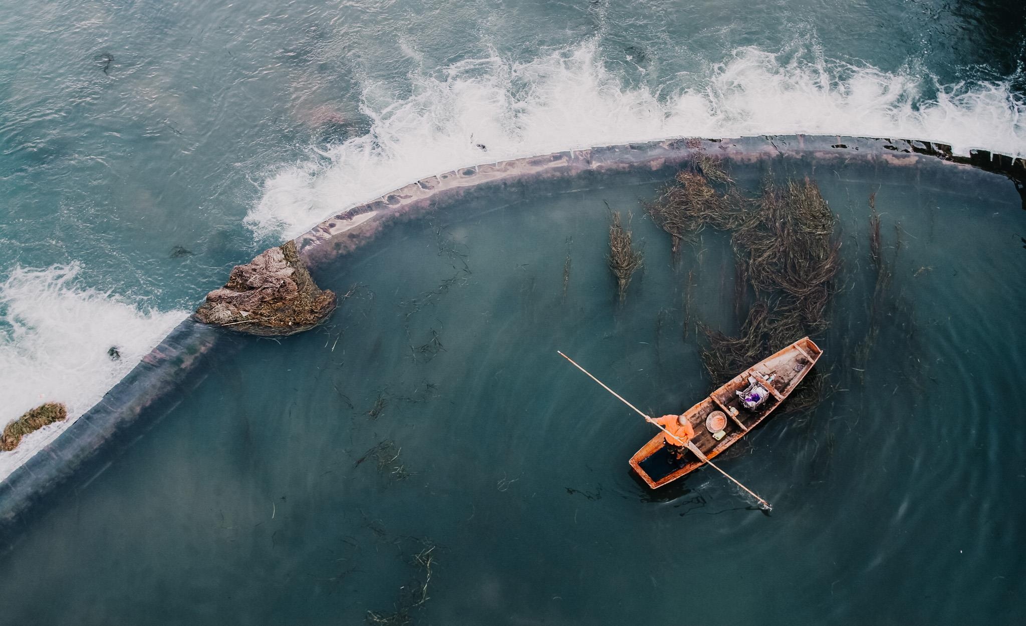 Phuong Hoang co tran anh 13