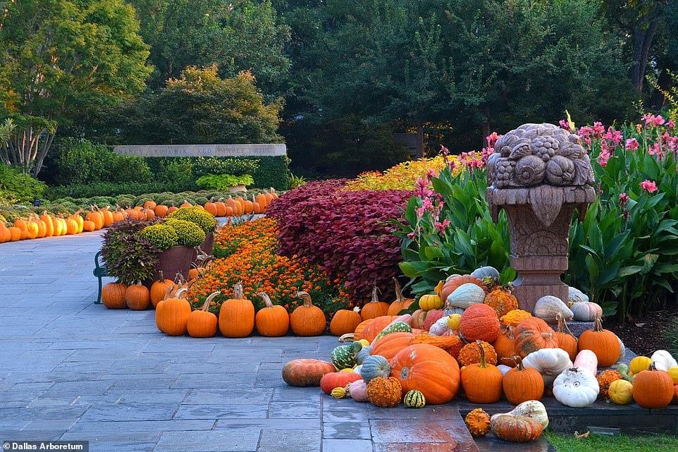 Du lich My,  lang bi ngo,  dia diem du lich anh 3