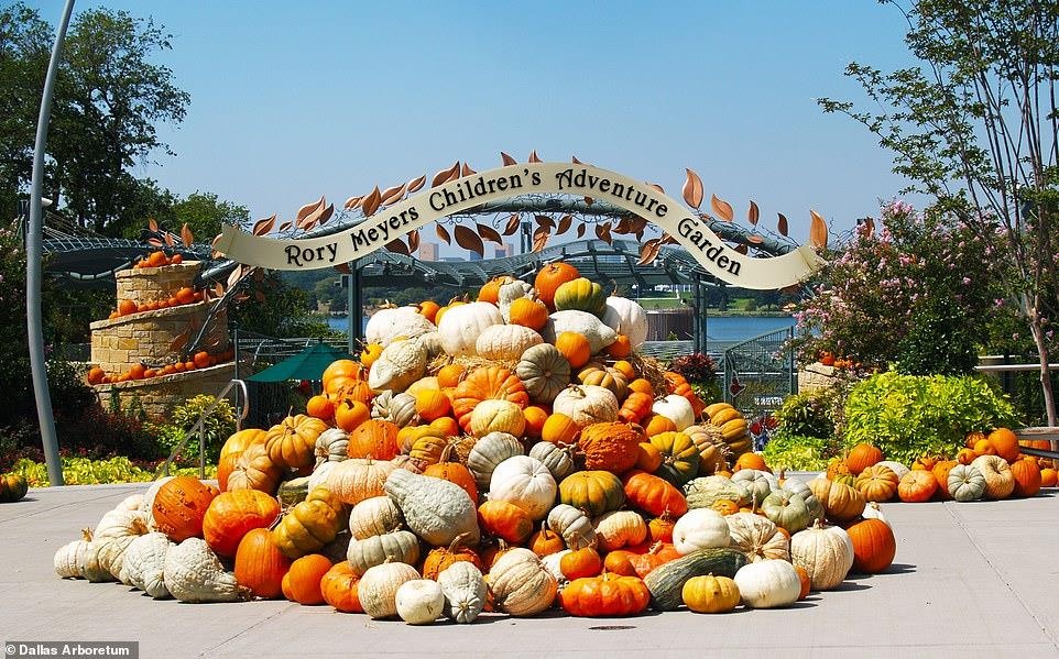 Du lich My,  lang bi ngo,  dia diem du lich anh 6