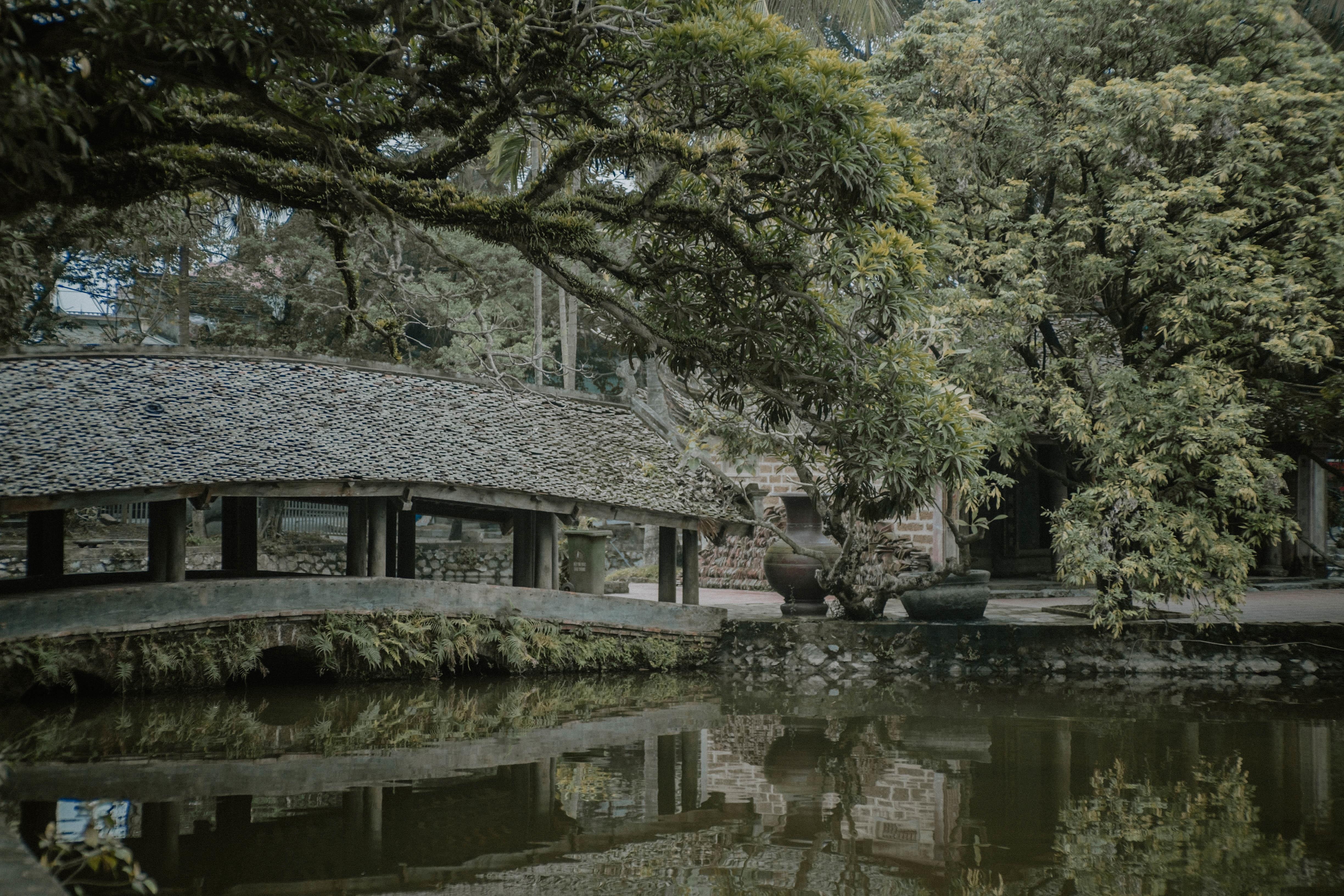 Chua gan Ha Noi anh 2