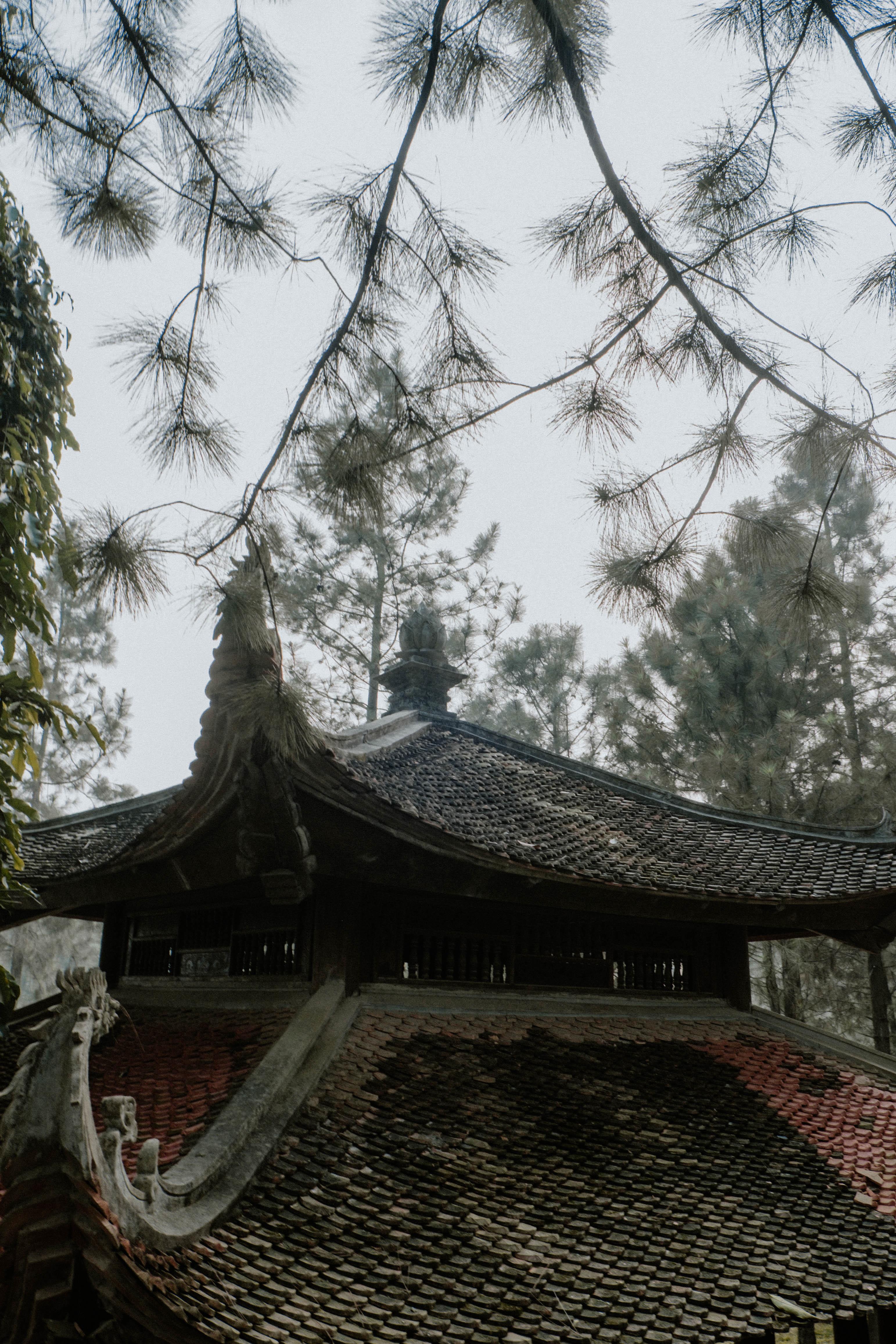 Chua gan Ha Noi anh 15