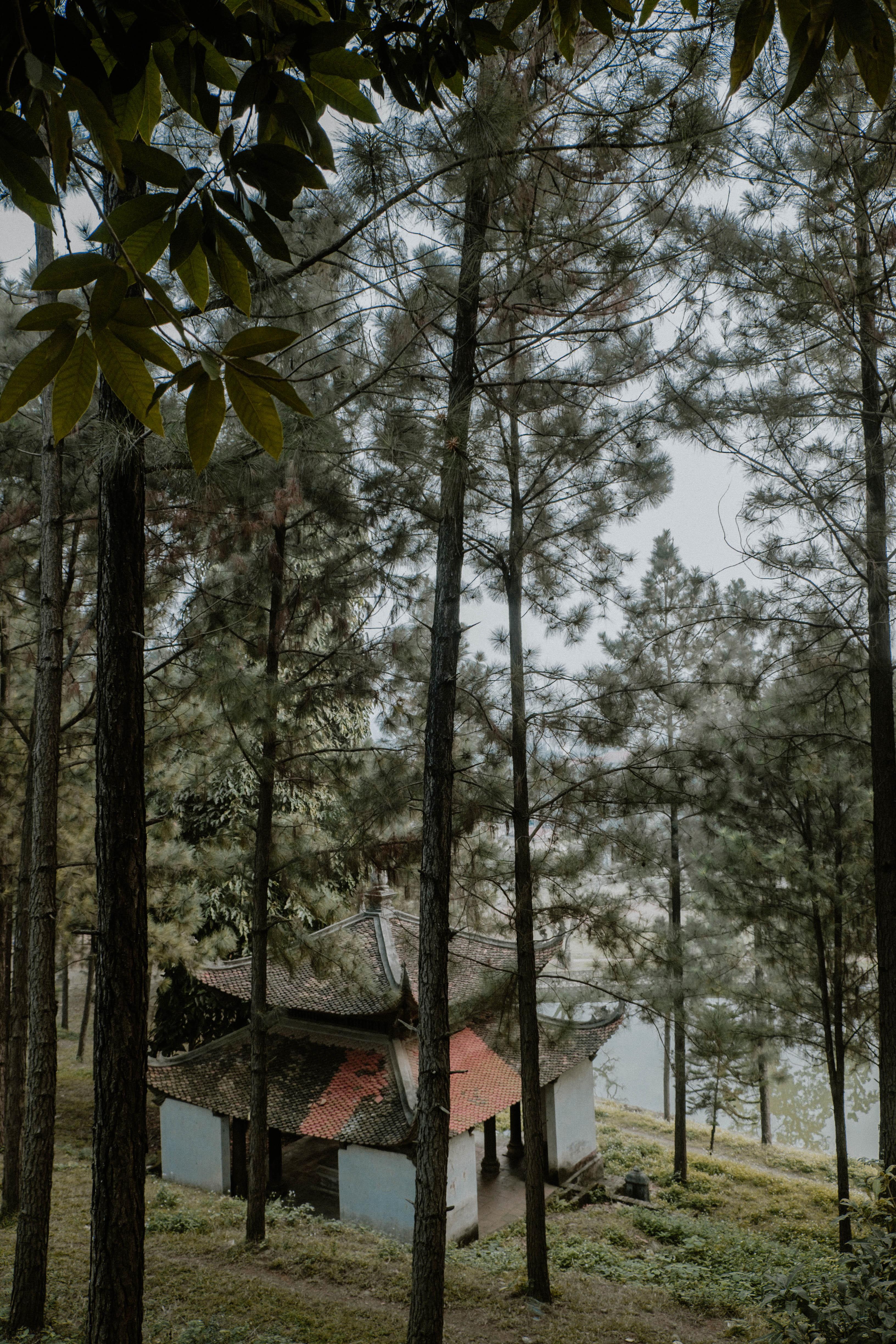 Chua gan Ha Noi anh 17