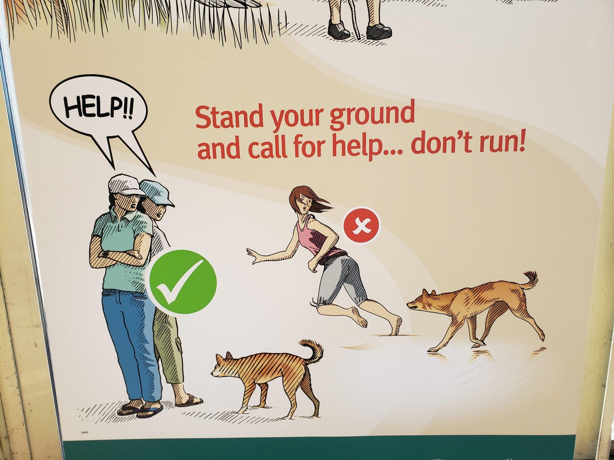 Australia hoang da anh 7