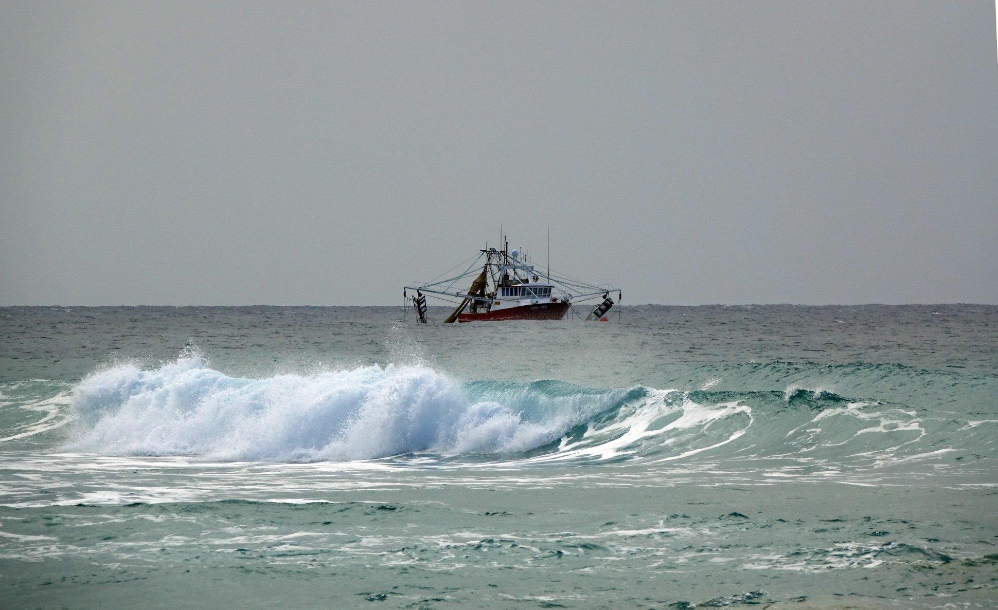 Australia hoang da anh 2