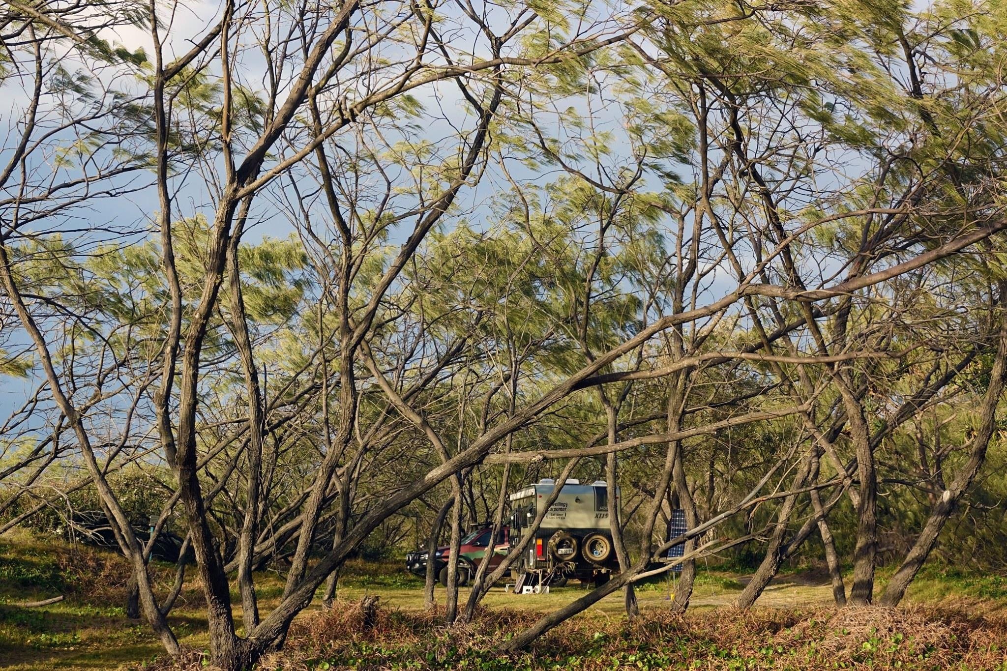 Australia hoang da anh 12