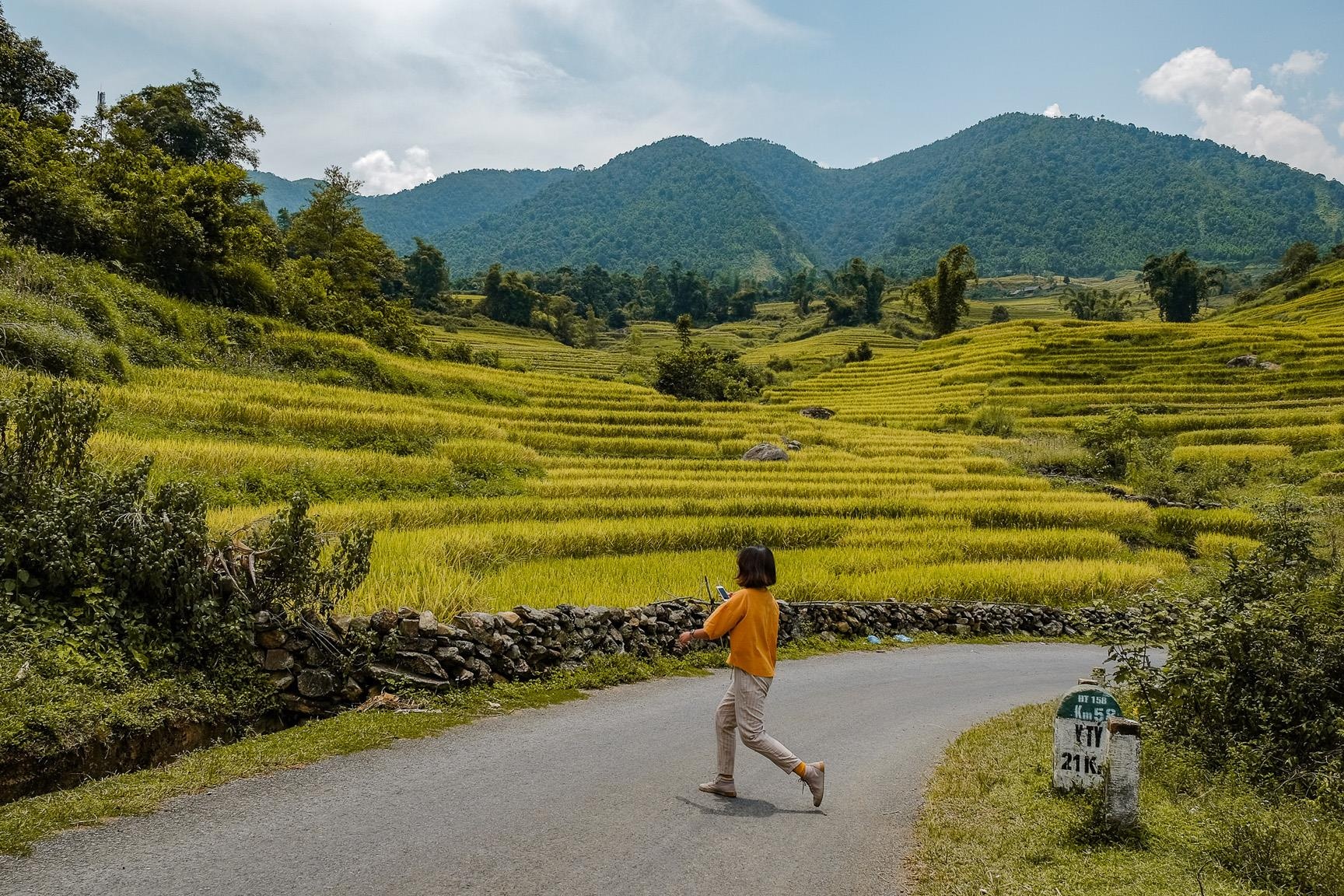 Y Ty mua vang anh 11