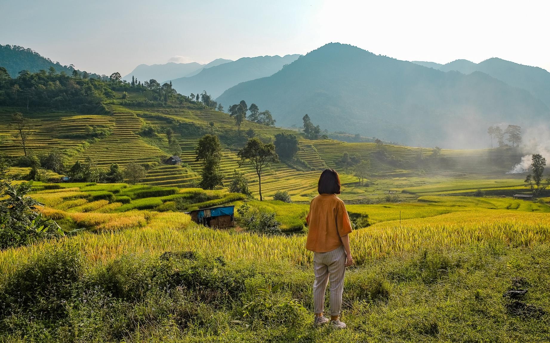 Y Ty mua vang anh 21