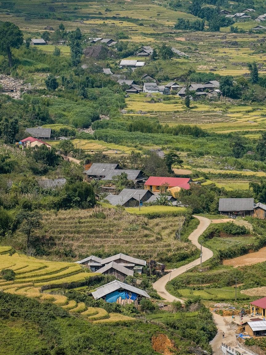 Y Ty mua vang anh 19