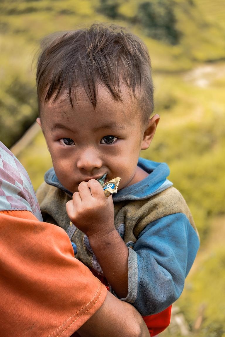 Y Ty mua vang anh 14