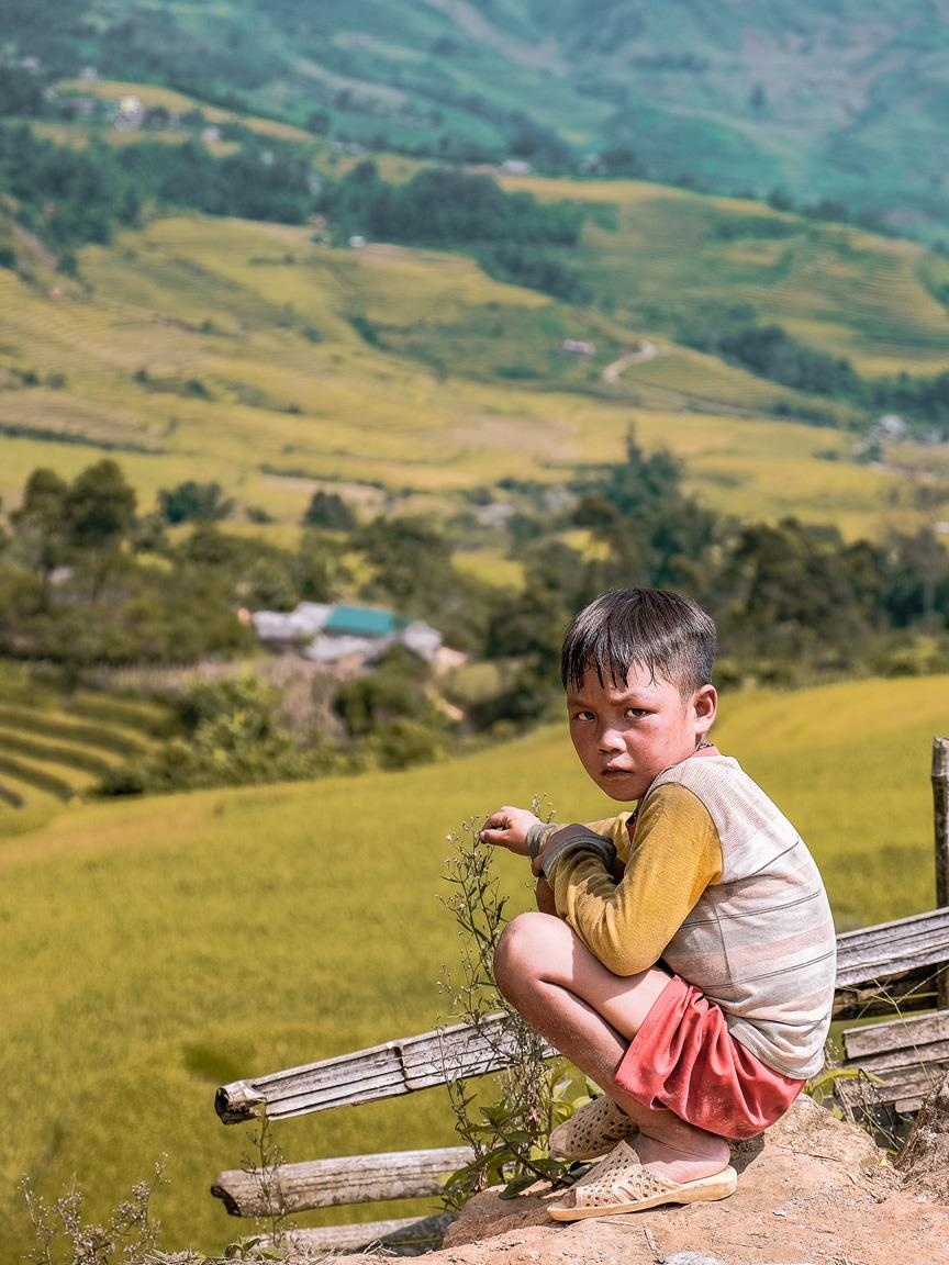 Y Ty mua vang anh 15