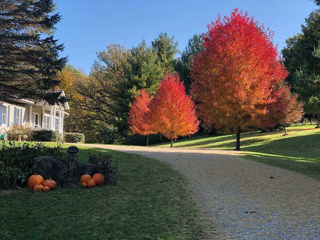 thanh pho o My anh 10