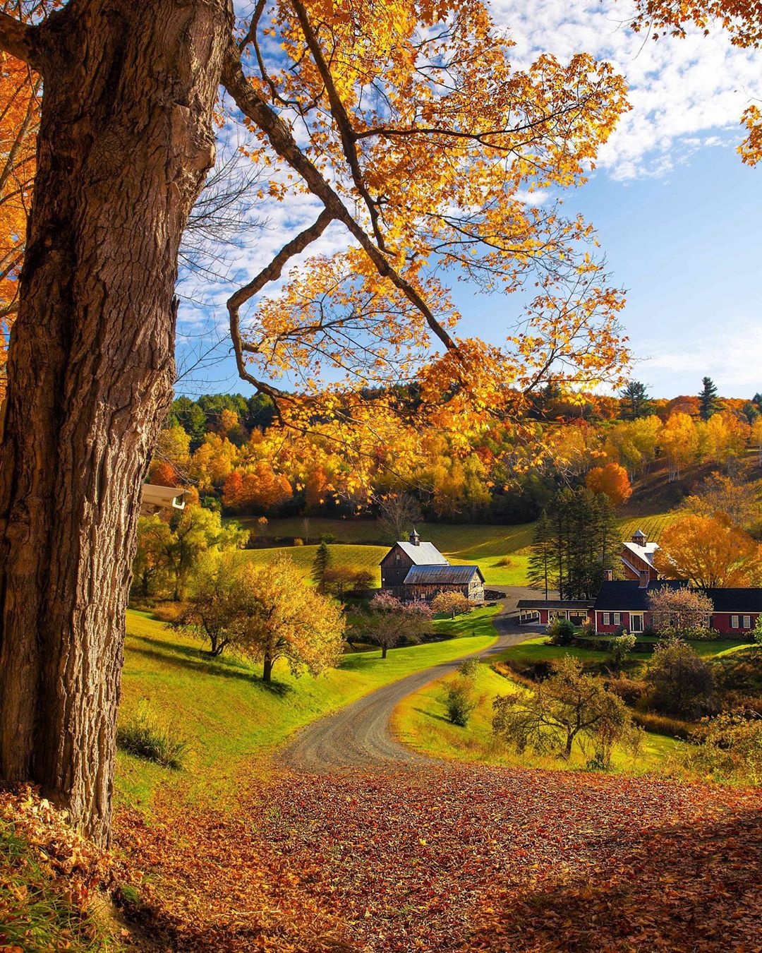 thanh pho o My anh 3