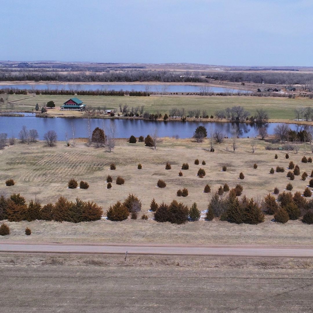 thanh pho o My anh 6