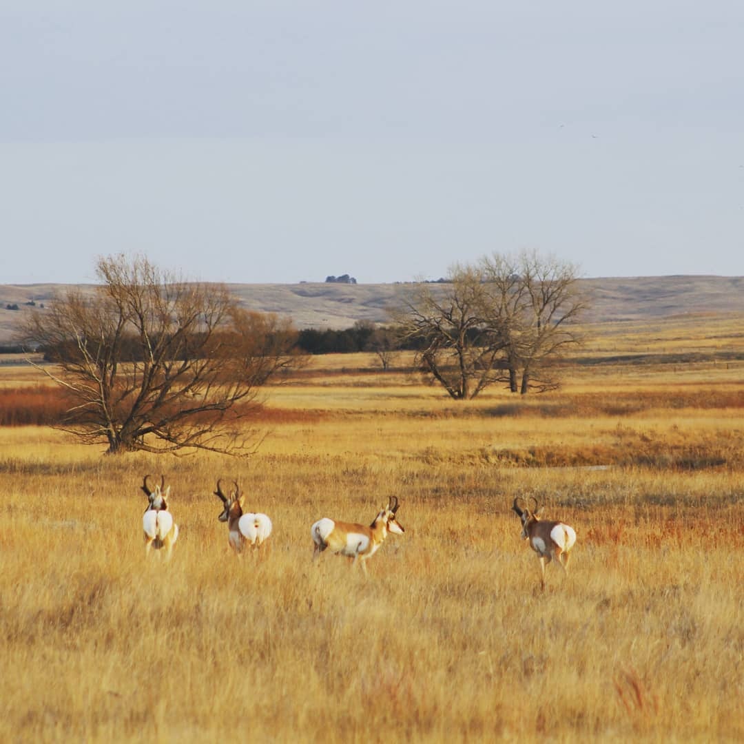 thanh pho o My anh 7