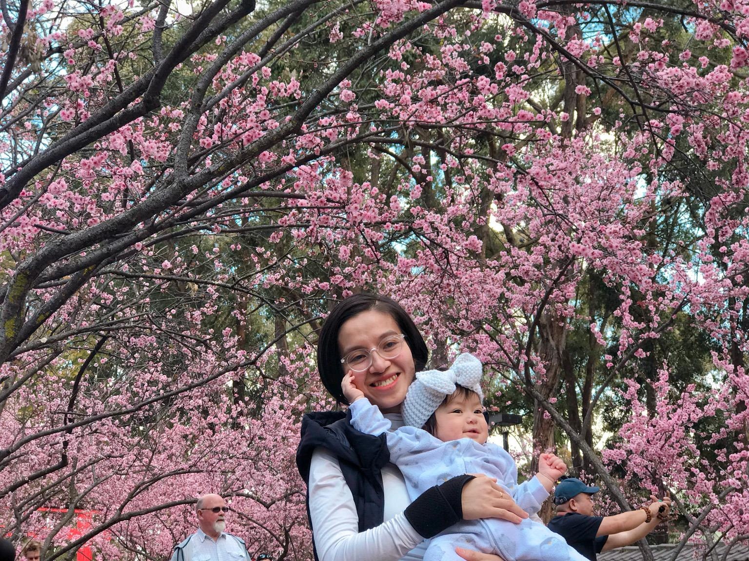 Hoa anh dao Australia anh 5