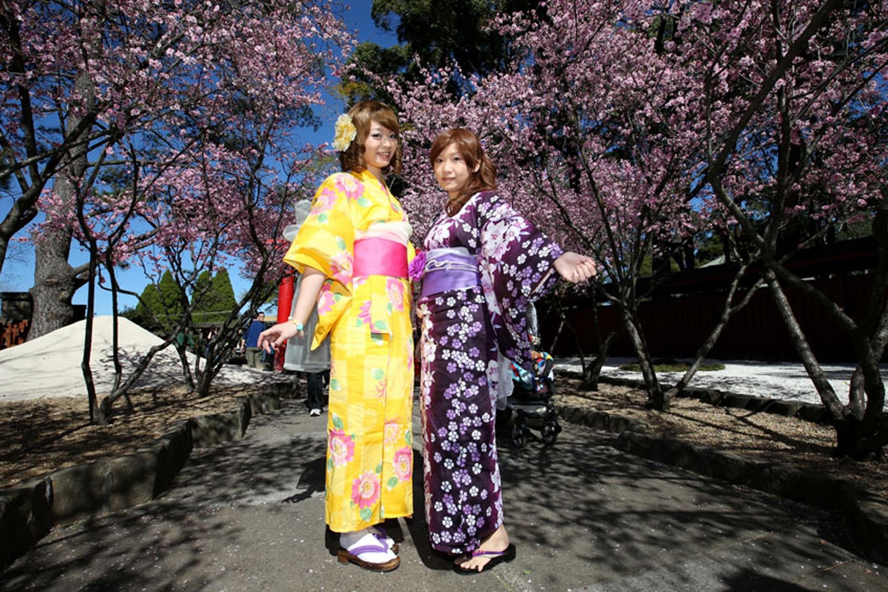 Hoa anh dao Australia anh 8