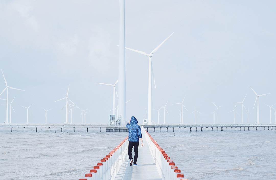 Canh dong quat gio anh 11