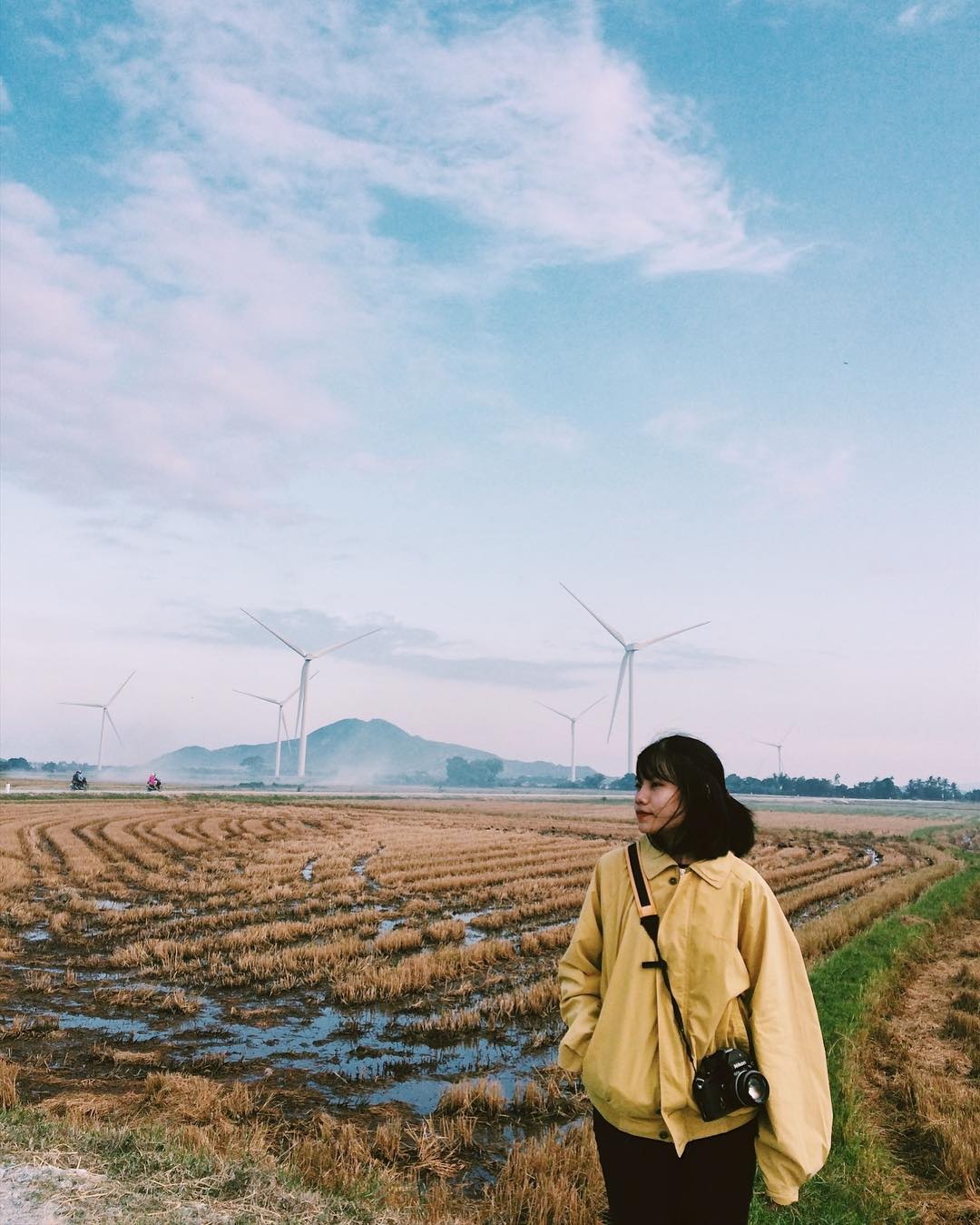 Canh dong quat gio anh 3