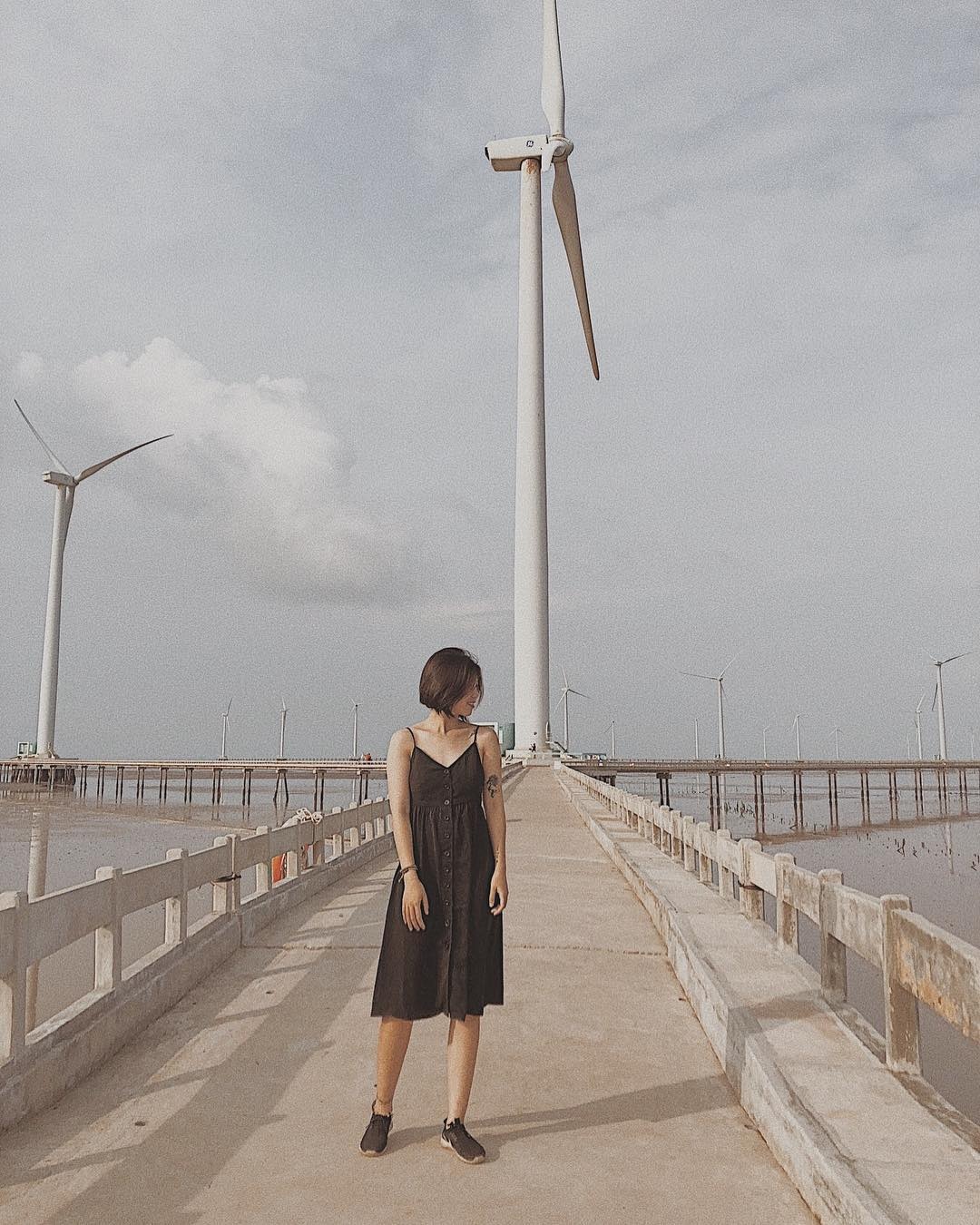 Canh dong quat gio anh 12