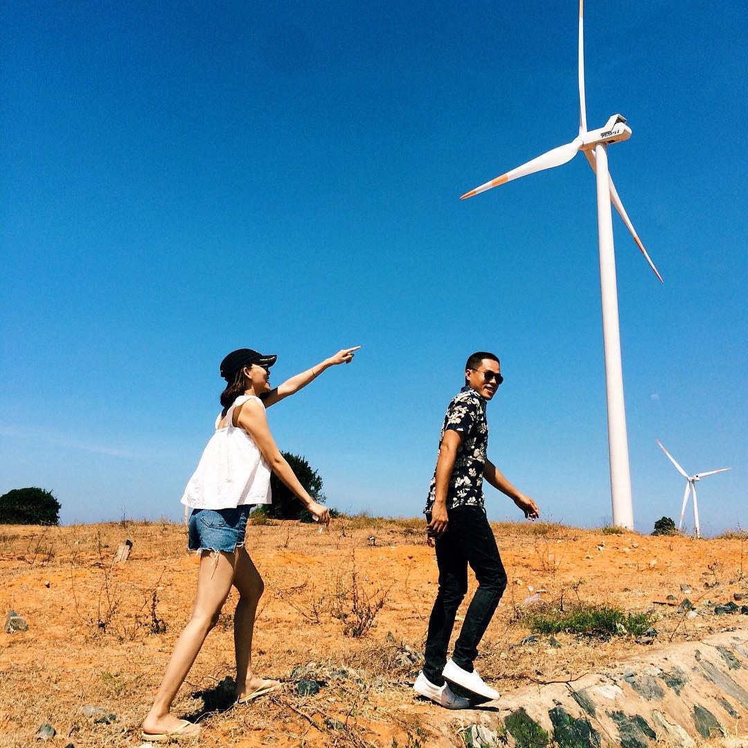 Canh dong quat gio anh 4