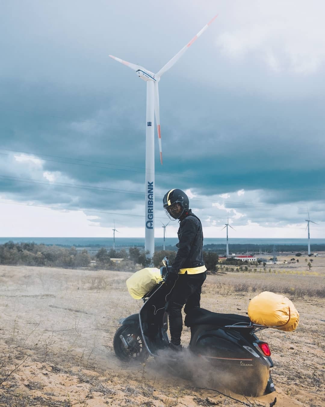 Canh dong quat gio anh 5