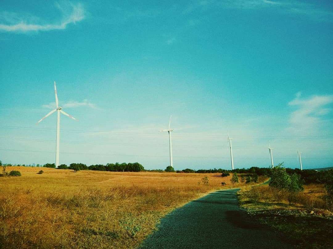 Canh dong quat gio anh 6