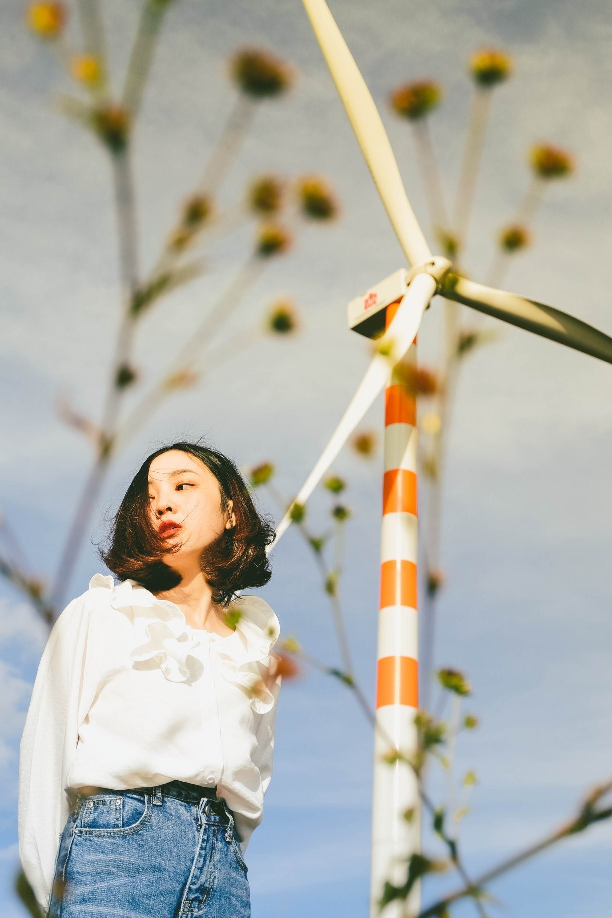 Canh dong quat gio anh 7