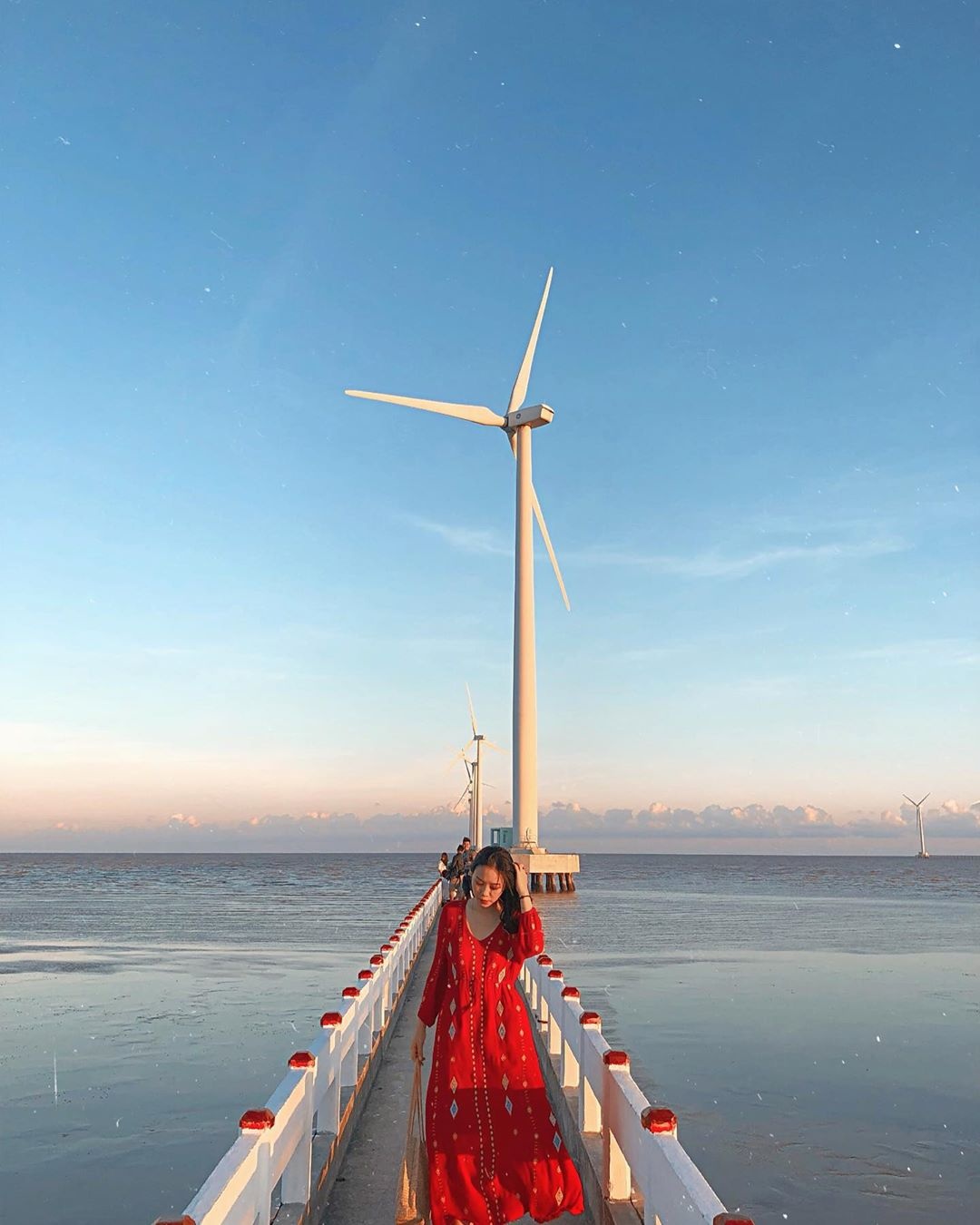 Canh dong quat gio anh 13